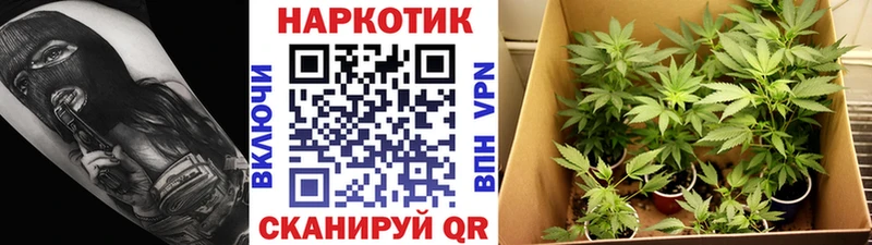 Магазины продажи наркотиков Зея Alpha PVP  КОКАИН  Гашиш  Марихуана 