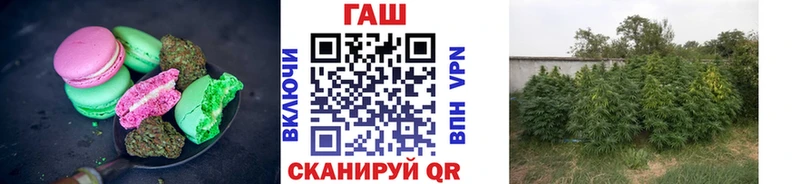 hydra как войти Зея Cannafood марихуана продажа наркотиков
