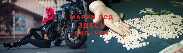 хмурый Ветлуга