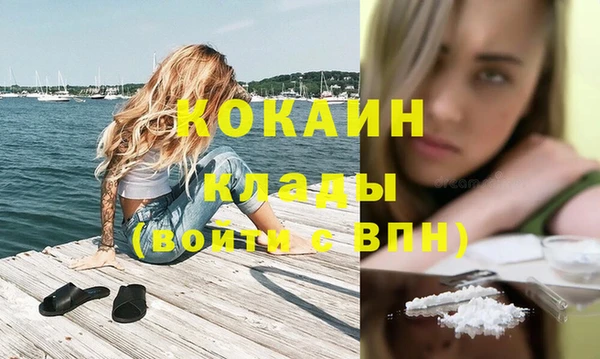 спиды Новозыбков