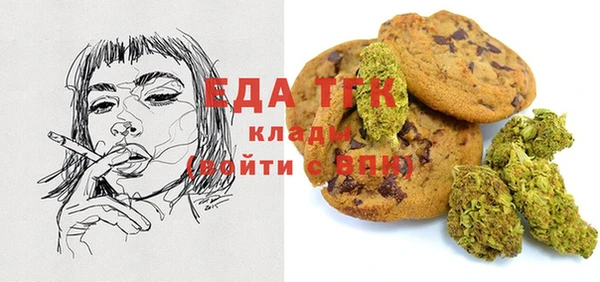 спиды Новозыбков