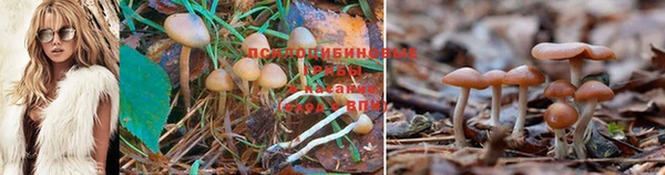 круглые Новодвинск